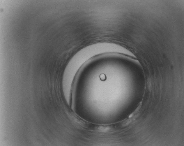 X0000062900570200601201914