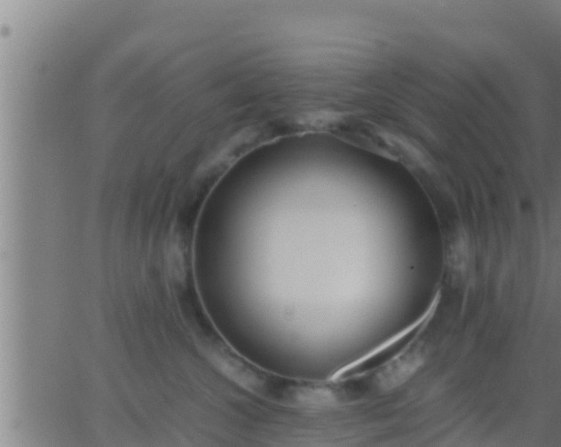 X0000062900572200601201914