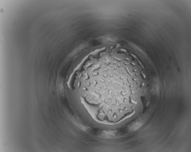 X0000062900573200601201914