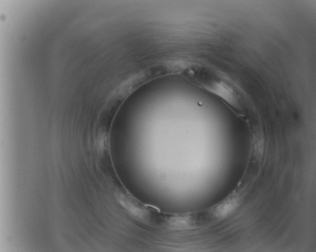 X0000062900574200601201914