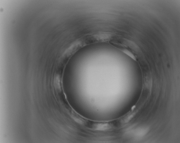 X0000062900575200601201914