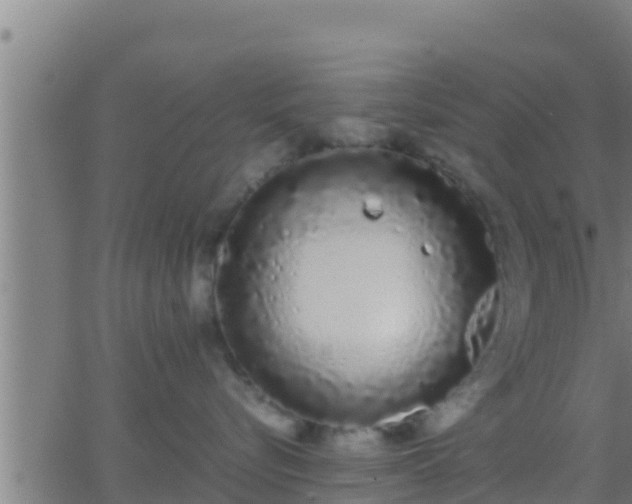 X0000062900576200601201914