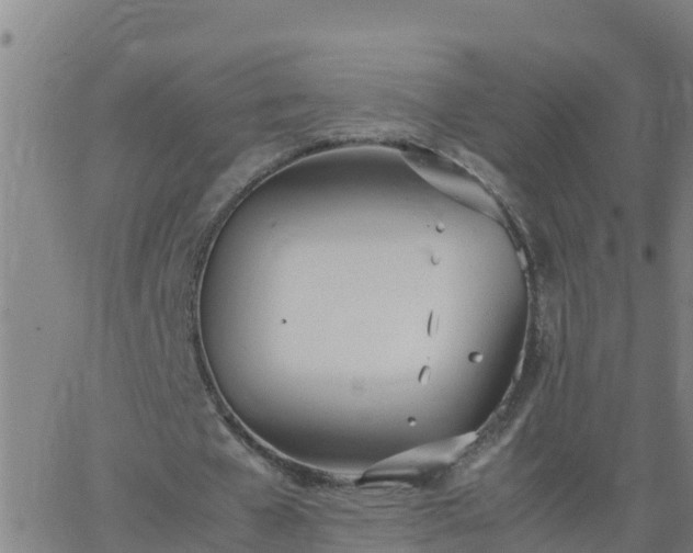 X0000062900577200601201913