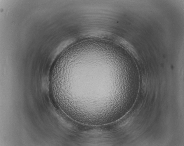 X0000062900578200601201913