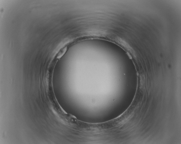 X0000062900580200601201913