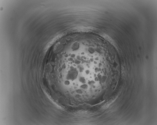 X0000062900581200601201913