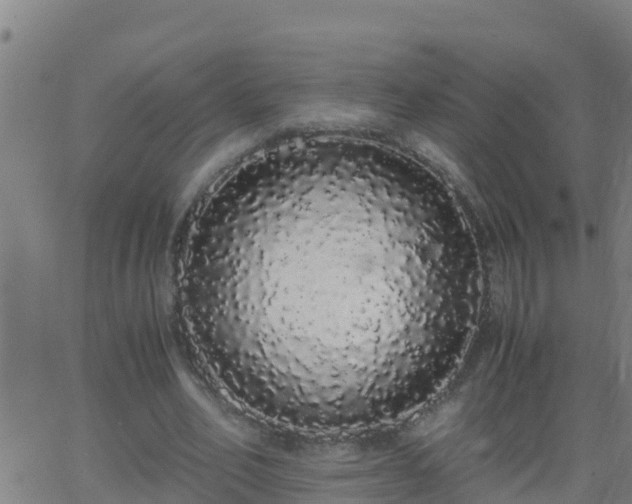 X0000062900582200601201913