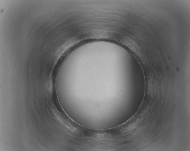 X0000062900584200601201913