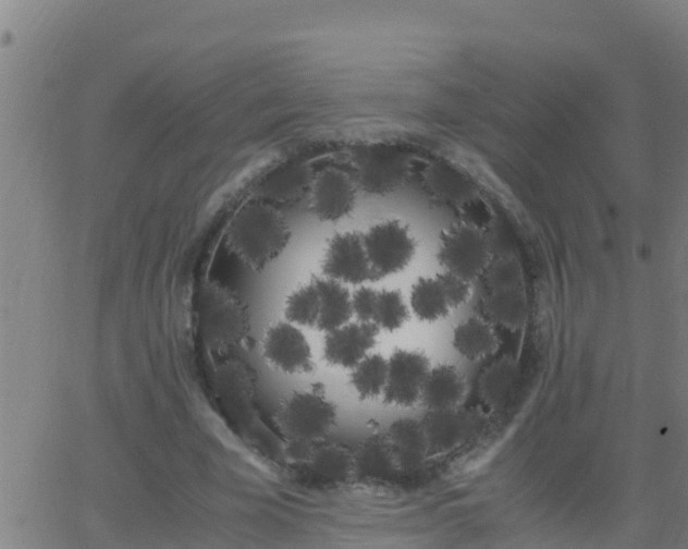 X0000062900585200601201913