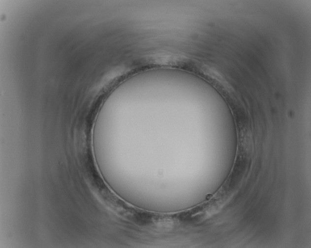 X0000062900587200601201913