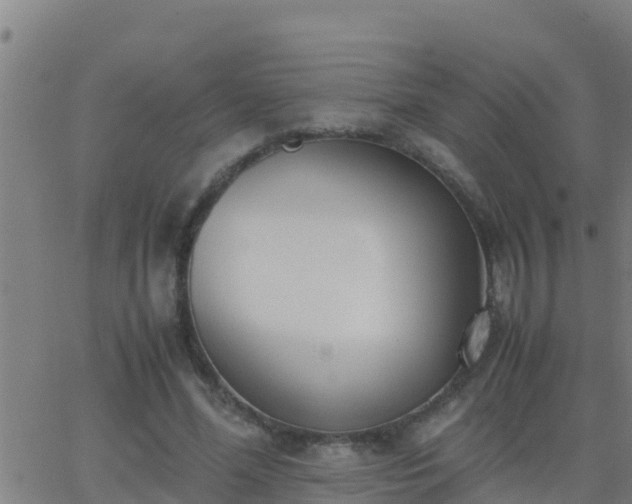 X0000062900588200601201913