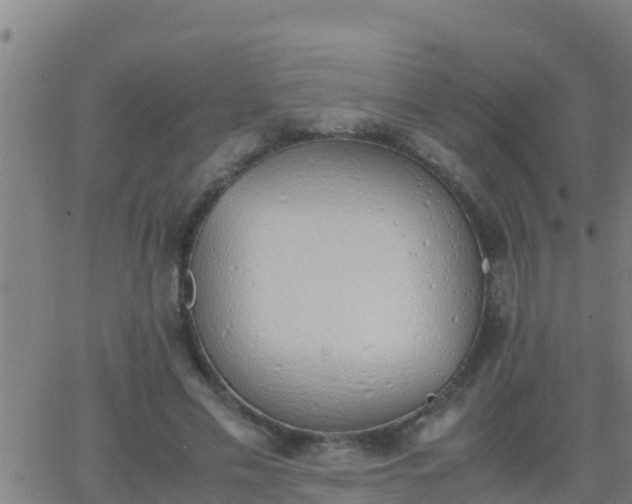 X0000062900589200601201913