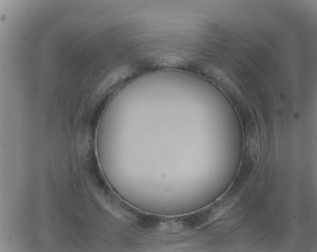 X0000062900591200601201913