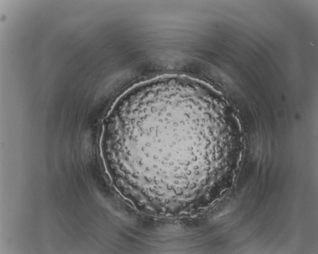 X0000062900594200601201913