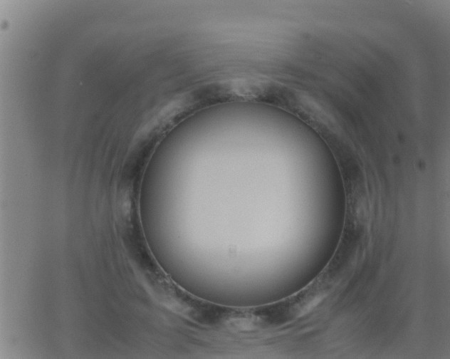 X0000062900595200601201913