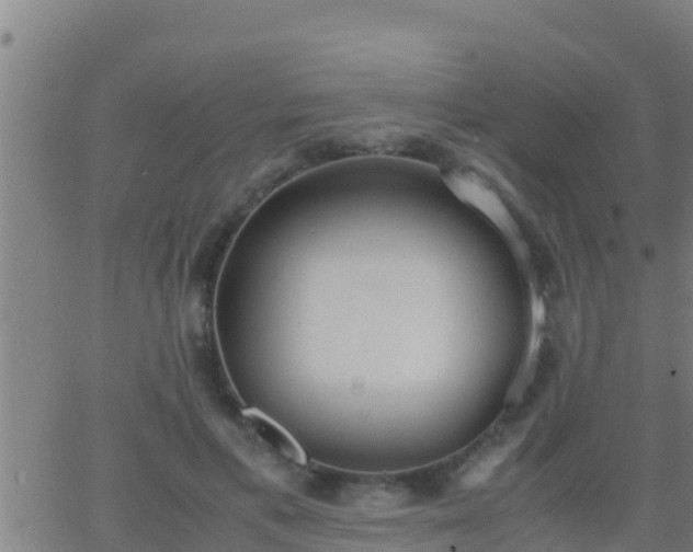 X0000062900597200601201913