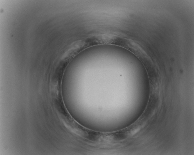 X0000062900599200601201913