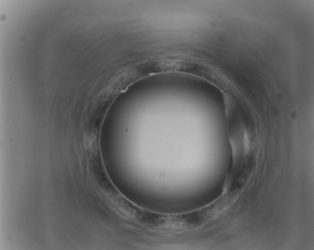 X0000062900601200601201913