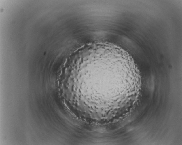 X0000062900602200601201913