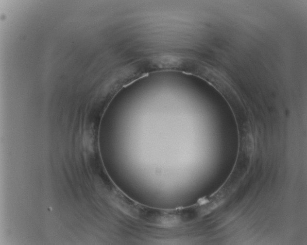 X0000062900604200601201913