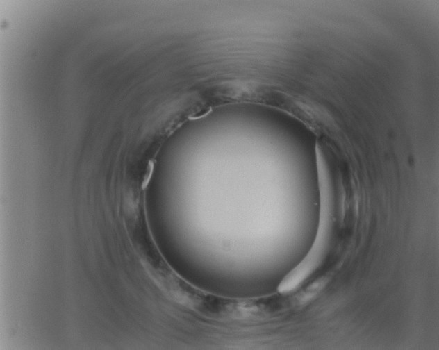 X0000062900607200601201913