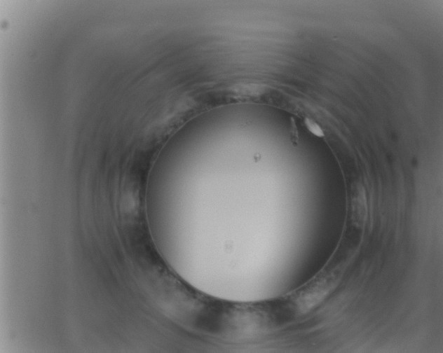 X0000062900608200601201913