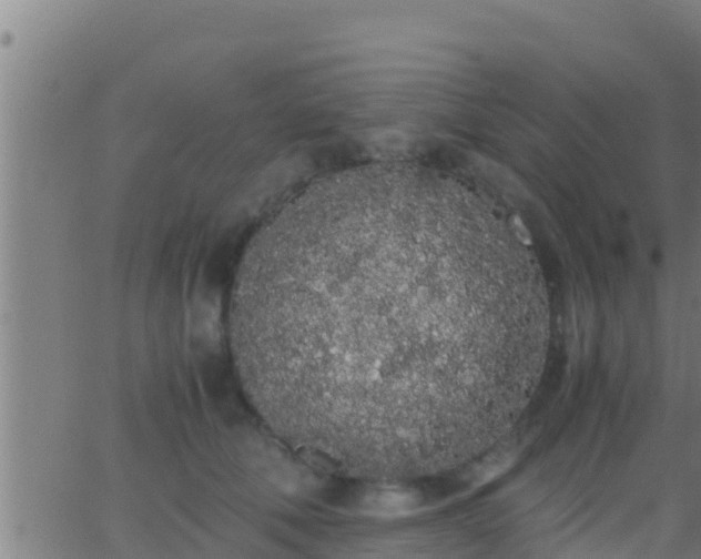 X0000062900610200601201913