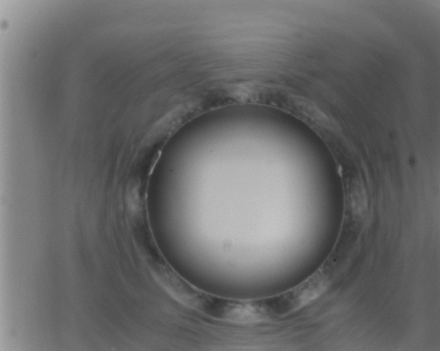 X0000062900611200601201913