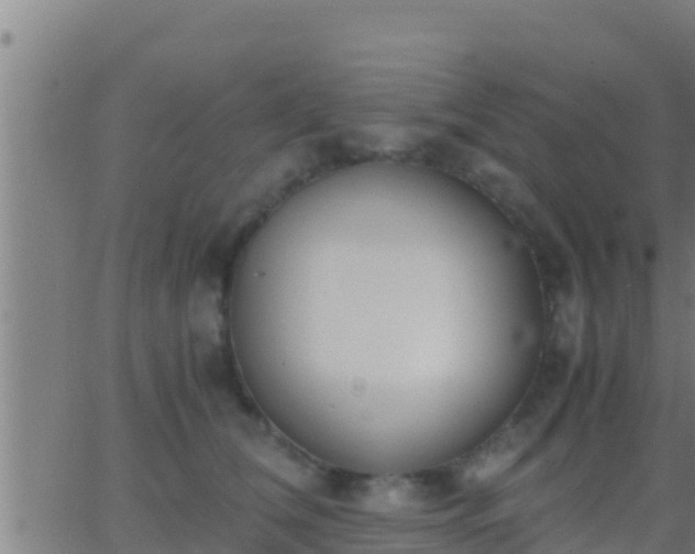 X0000062900612200601201913