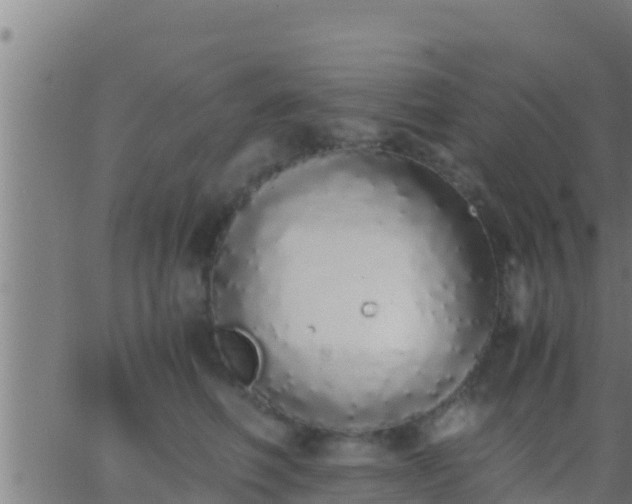 X0000062900614200601201913