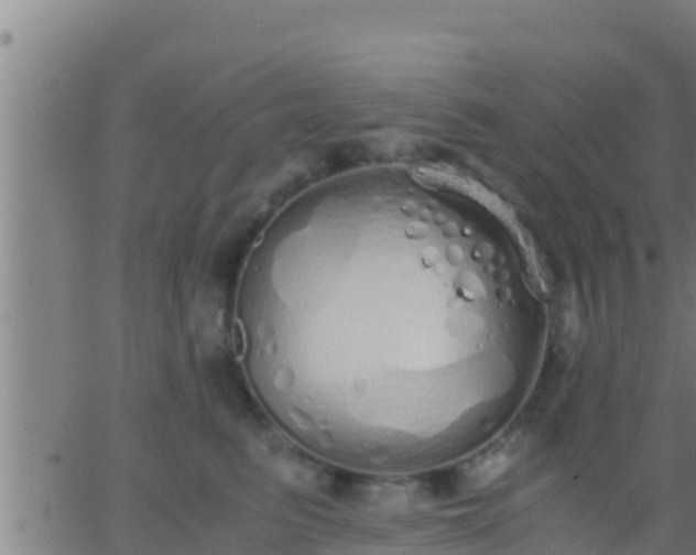 X0000062900615200601201913