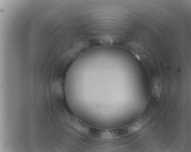 X0000062900616200601201913