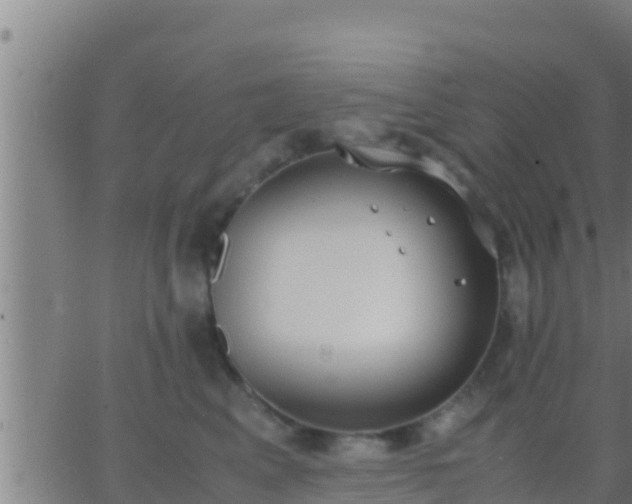 X0000062900617200601201913