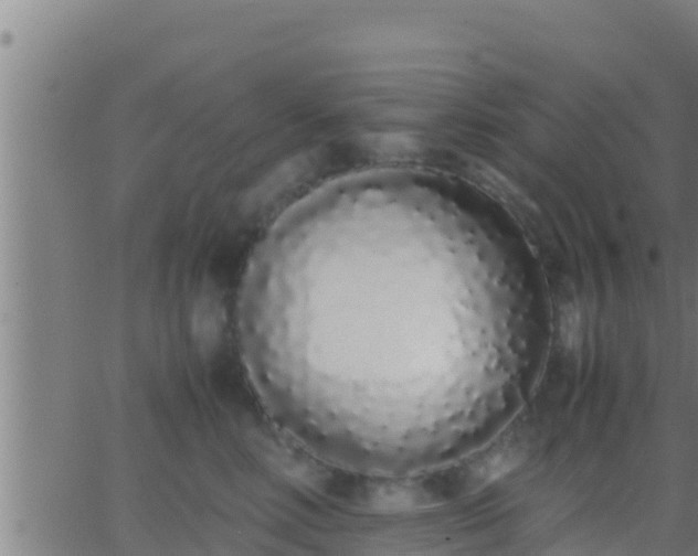 X0000062900618200601201913