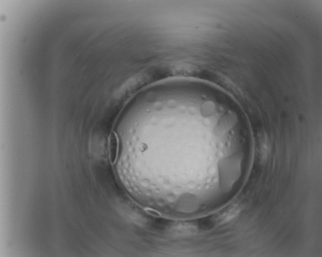 X0000062900619200601201912