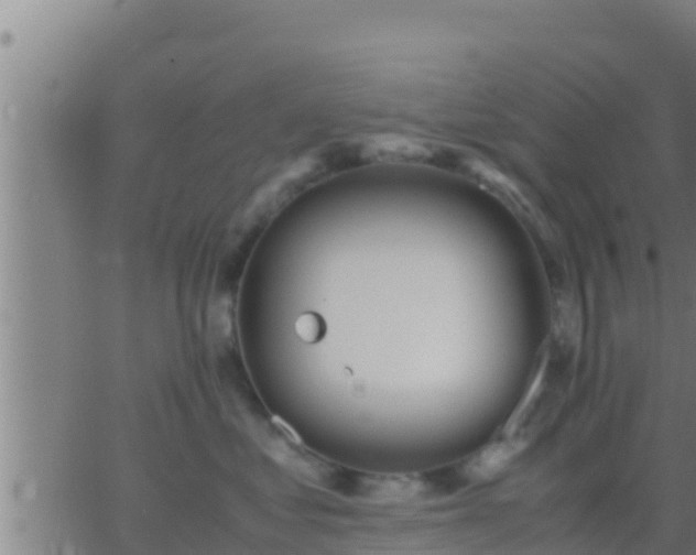 X0000062900621200601201912