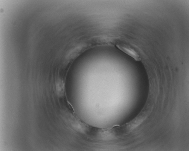 X0000062900624200601201912