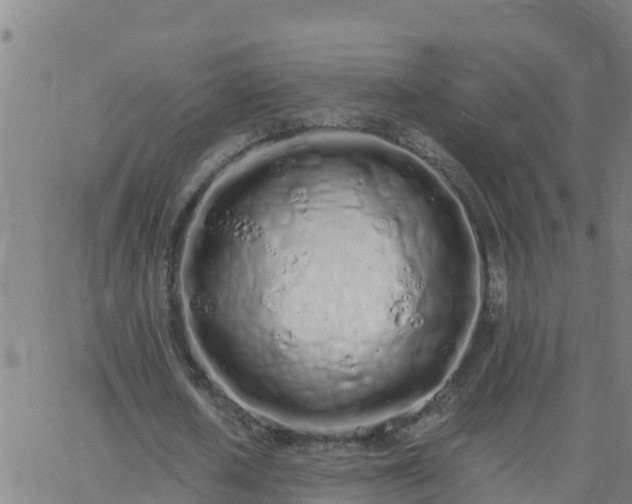 X0000062900626200601201912