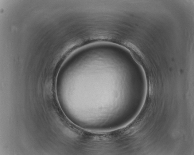 X0000062900627200601201912