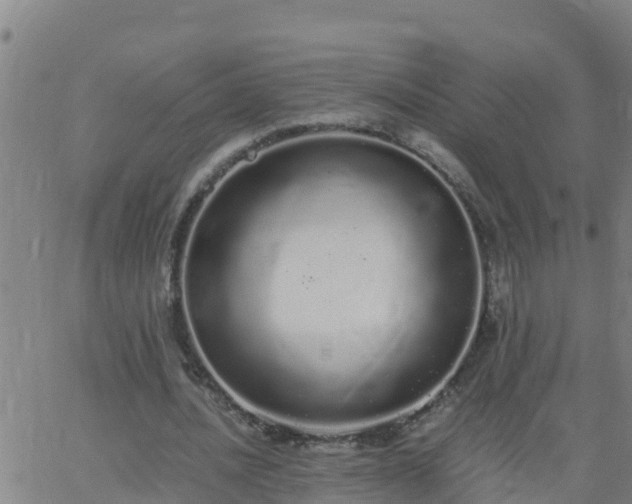 X0000062900628200601201912