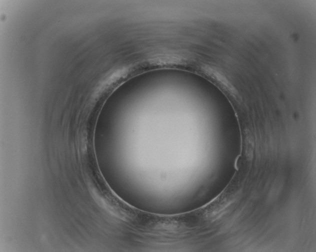 X0000062900631200601201912