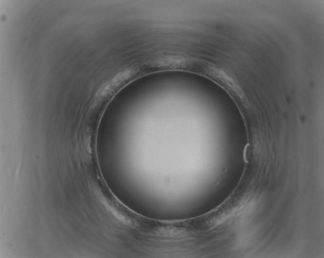 X0000062900633200601201912