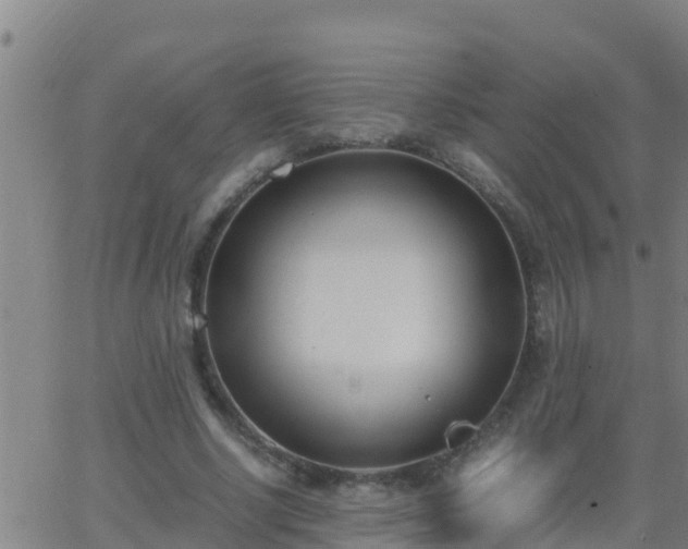 X0000062900634200601201912