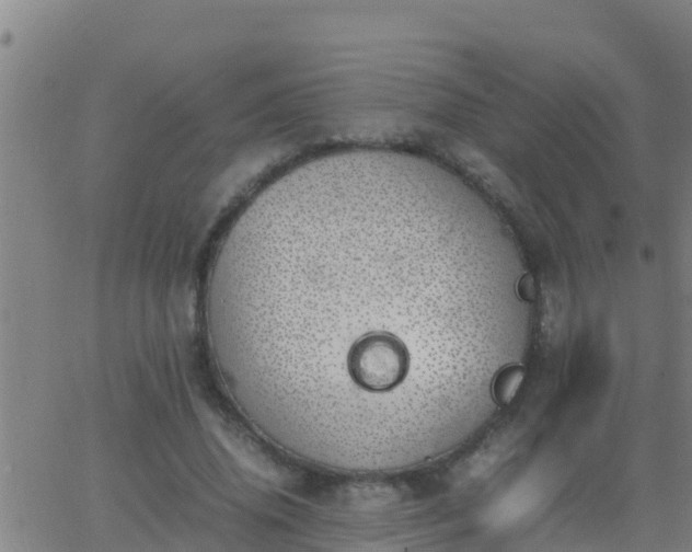 X0000062900636200601201912