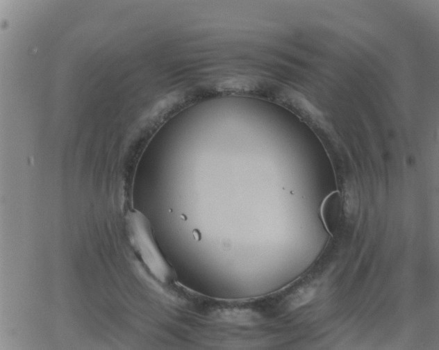 X0000062900637200601201912