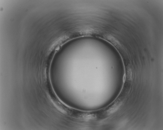 X0000062900638200601201912