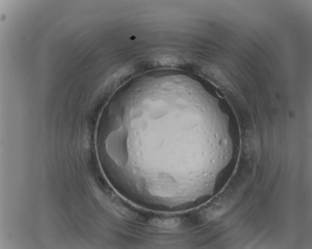 X0000062900639200601201912