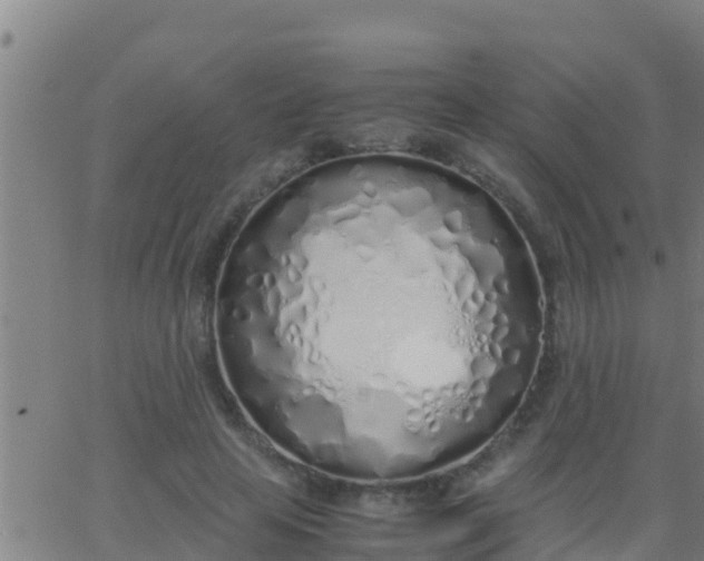 X0000062900641200601201912