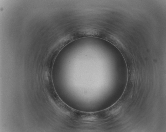 X0000062900643200601201912