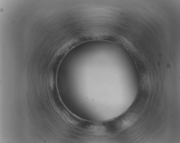 X0000062900644200601201912